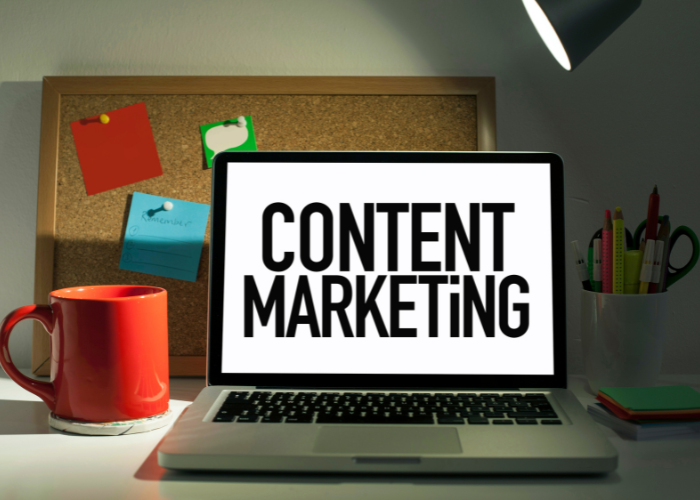 Website Development Agency in Wakad / Hinjawadi