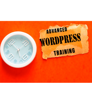 advanced wordpress training