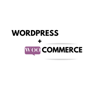 wordpress woo commerce Online Web Design Development Training in wakad, PCMC | [object object]
