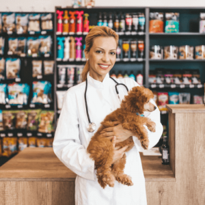 Pet Shop new Seller Portal &#8211; We offer listings of local area sellers to district level sellers in Wakad Pune. | seller portal - we offer listings of local area sellers to district level sellers in wakad pune.