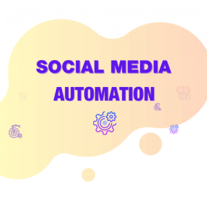 Social Media Automation Website Development Agency in Pimple Saudagar / Pimpri | website development agency in pimple saudagar / pimpri