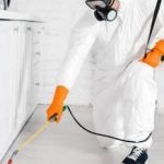 Pest-Control Home, Housekeeping Services in Wakad &#8211; RightDeal.com |