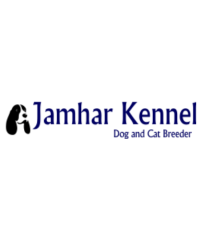 Pet Shop / Store, Dog n Cat Breeder in Wakad, PCMC – Jamhar Kennel
