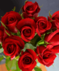 Buy Roses in Wakad from Berry’s Roses and Petals – 7030983302 7030983307