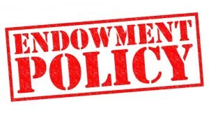 A Complete Guide To Endowment Policy